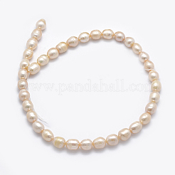 天然養殖淡水パールビーズ連売り  ライス  砂茶色  9~11x8.5~9mm  穴：0.8mm  約32個/連  13.78インチ&nbsp;PEAR-K003-26C-01