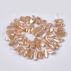 Electroplate Shell Pearl Beads Strands&nbsp;SSHEL-S261-01
