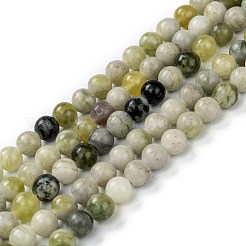Natural Qinghua Jade Beads Strands&nbsp;G-G818-01-6mm