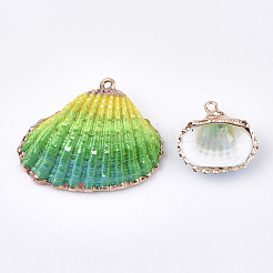 スプレー式塗料＆貝殻ペンダント  鉄パーツ  ライトゴールド  カラフル  19~28x20~30x7~11mm  穴：2mm&nbsp;X-SSHEL-S262-07B