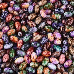 Spray Painted Glass Seed Beads&nbsp;SEED-T007-14M
