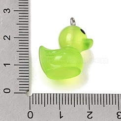 Luminous Transparent Resin Pendants&nbsp;RE-CBAAB56-12B