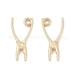 Alloy Pendants&nbsp;PALLOY-K003-09LG