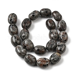 Natural Fluorescent Syenite Rock(Glow under UV Light)  Beads Strands&nbsp;G-K362-D02-03