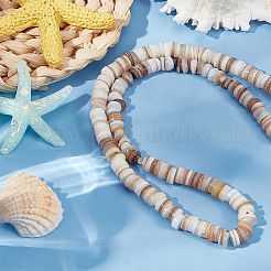 Natural Shell Beads Strands&nbsp;BSHE-WH0013-01