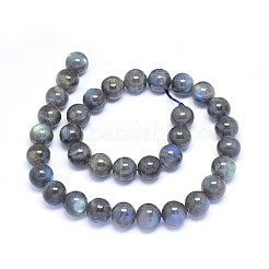 Natural Labradorite Beads Strands&nbsp;G-F602-04-10mm