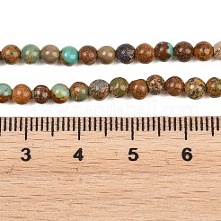 Natural African Turquoise(Jasper) Beads Strands&nbsp;G-Z163-B02-4mm