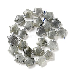 天然石ラブラドライトビーズ連売り  シードビーズで  膨らんだ星  14~15.5x15~16x6.5~7mm  穴：1mm  約24~25個/連  15.55''~15.95''（39.5~40.5センチメートル）&nbsp;G-NH0005-020