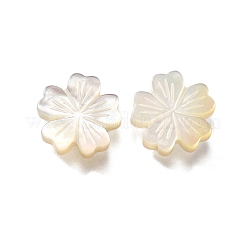 Natural White Shell Beads&nbsp;BSHE-Z008-07