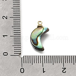 天然アワビ貝ペンダント  真鍮パーツ  ムーンチャーム  15.5x8x3mm  穴：1.2mm&nbsp;SH-CJC0AC7-01E-G