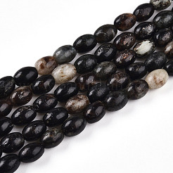 Natural Biotite Beads Strands&nbsp;G-N346-02B-02