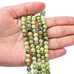 Natural Serpentine Beads Strands&nbsp;G-N166-6