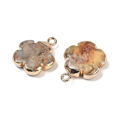 天然石クレイジーアゲートペンダント  真鍮製の金具が付いた花のチャーム  ゴールドカラー  23~24x21x6mm  穴：1.8mm&nbsp;G-P566-01G-05