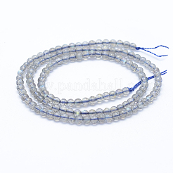 Natural Labradorite Beads Strands&nbsp;G-P342-09A-3mm-A++