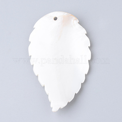 Freshwater Shell Big Pendants&nbsp;X-SHEL-S249-02
