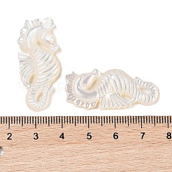 天然の白い貝殻の彫刻ペンダント  タツノオトシゴチャーム  貝殻色  36x17x3.5mm  穴：1mm&nbsp;SSHEL-C012-05