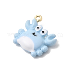 Alloy Enamel Pendants&nbsp;FIND-Z119-08G-03