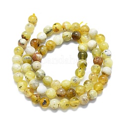 Natural Yellow Opal Beads Strands&nbsp;G-K245-A07-B02