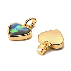 Natural Paua Shell Heart Charms&nbsp;KK-G538-20G