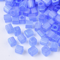 6/0 Transparent Glass Seed Beads&nbsp;SEED-S027-03B-06