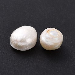 天然な培養された淡水パールビーズ  ケシパールビーズ  穴がない  アンティークホワイト  12.5~14x11~12.5x7~8mm&nbsp;PEAR-P003-24