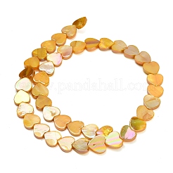 Natural Freshwater Shell Beads Strands&nbsp;SH-CBA93AD-06B