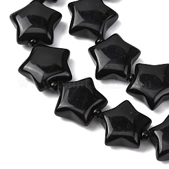 Natural Obsidian Beads Strands&nbsp;G-K359-E13