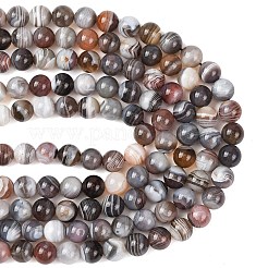 Natural Botswana Agate Beads Strands&nbsp;G-G453-A01-10mm