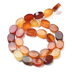 Natural Dyed & Heated Red Agate Beads Strands&nbsp;G-P559-B01-01
