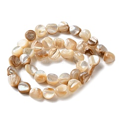 Natural Trochus Shell Beads Strands&nbsp;SHEL-G020-02