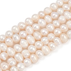 Natural Cultured Freshwater Pearl Beads Strands&nbsp;PEAR-I007-07X-07A
