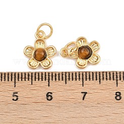 Natural Tiger Eye Flower Charms&nbsp;KK-B157-18G-03