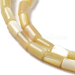 Natural Trochus Shell Beads Strands&nbsp;SHEL-K006-37
