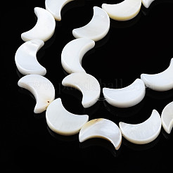 Natural Freshwater Shell Beads Strands&nbsp;SHEL-Q024-015B