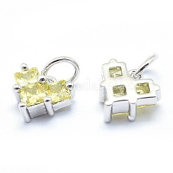 Brass Charms&nbsp;ZIRC-J040-29P-02-NR