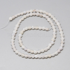 Natural Weathered Agate Bead Strands&nbsp;G-S237-4mm-08