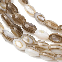 Natural Freshwater Shell Beads Strands&nbsp;SHEL-K006-78B