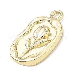 Alloy Pendants&nbsp;AL-CBA7C55-10B-G