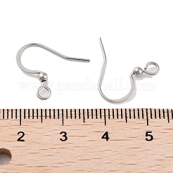 Tarnish Resistant 316 Surgical Stainless Steel Earring Hooks&nbsp;STAS-P220-13P