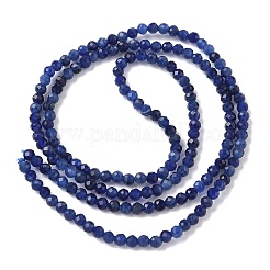 Natural Sodalite Beads Strands&nbsp;G-D306-A01-2mm-A