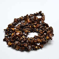 Chip Natural Tiger Eye Beads Strands&nbsp;X-G-N0134-09