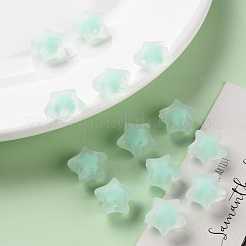 透明なアクリルビーズ  艶消し  二層ビーズ  スター  アクアマリン  14x15x8.5mm  穴：2mm  約518個/500g&nbsp;TACR-S152-02C-SS2111