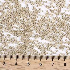 MIYUKIラウンドロカイユビーズ  日本製シードビーズ  （rr3540)ファンシーライニングシャンパン  15/0  1.5mm  穴：0.7mm  約250000個/ポンド&nbsp;SEED-G009-RR3540