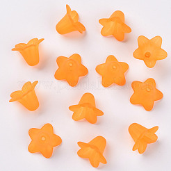 Transparent Acrylic Beads&nbsp;PLF018-08