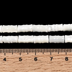 天然トロチッドシェル/トロカスシェルビーズ連売り  竹の棒  ホワイト  9.5~10.5x5~5.5mm  穴：0.5~0.6mm  約38~39個/連  15.08~15.43''（38.3~39.2センチメートル）&nbsp;SHEL-A006-06A