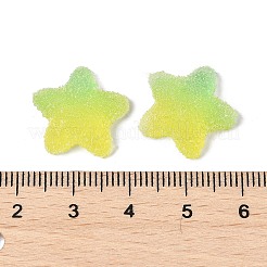Imitation Candy Food Style Resin Cabochons&nbsp;RESI-R461-02M