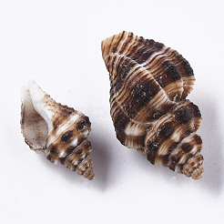 Natural Spiral Shell Beads&nbsp;SSHEL-S258-87