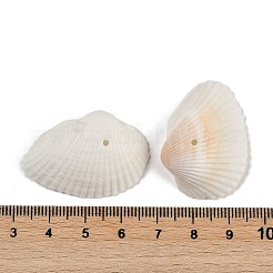 天然シェルビーズ  シェル形状  ホワイト  20~25x26~34x8~10mm  穴：1.5mm  約454個/100g&nbsp;SHEL-K009-15