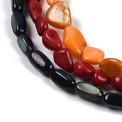 Natural Freshwater Shell Dyed Beads Strands&nbsp;SHEL-K009-14