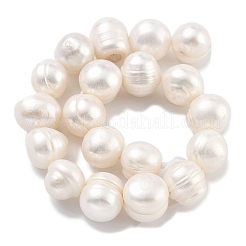 Natural Cultured Freshwater Pearl Beads Strands&nbsp;PEAR-C003-20C
